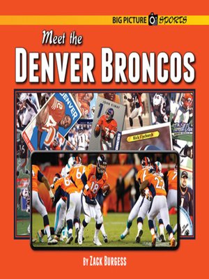 cover image of Meet the Denver Broncos
